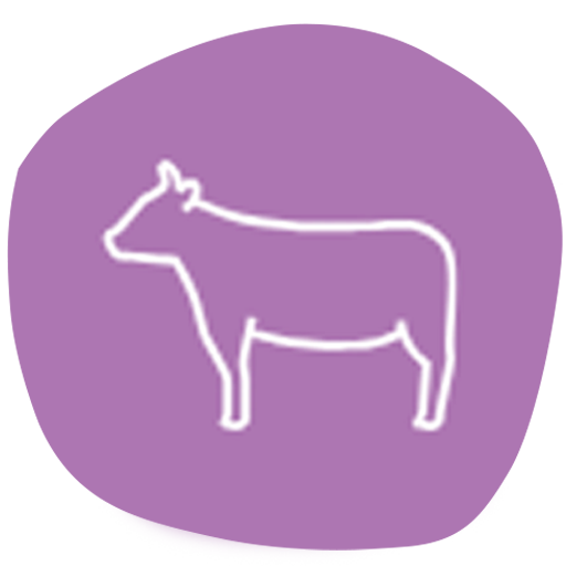 Animal Husbandry