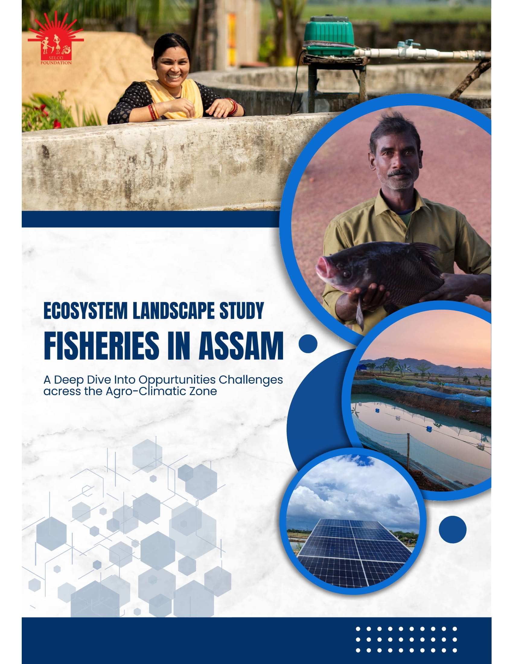 Ecosystem Landscape Study of Fisheries Value Chain in Assam