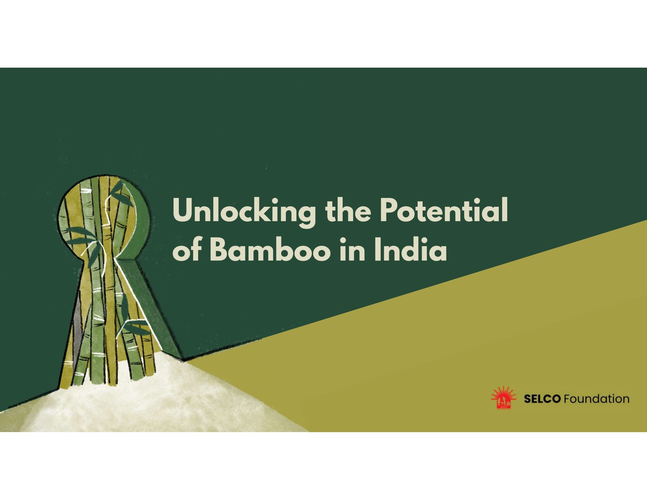 Unlocking the Potential of Bamboo in India