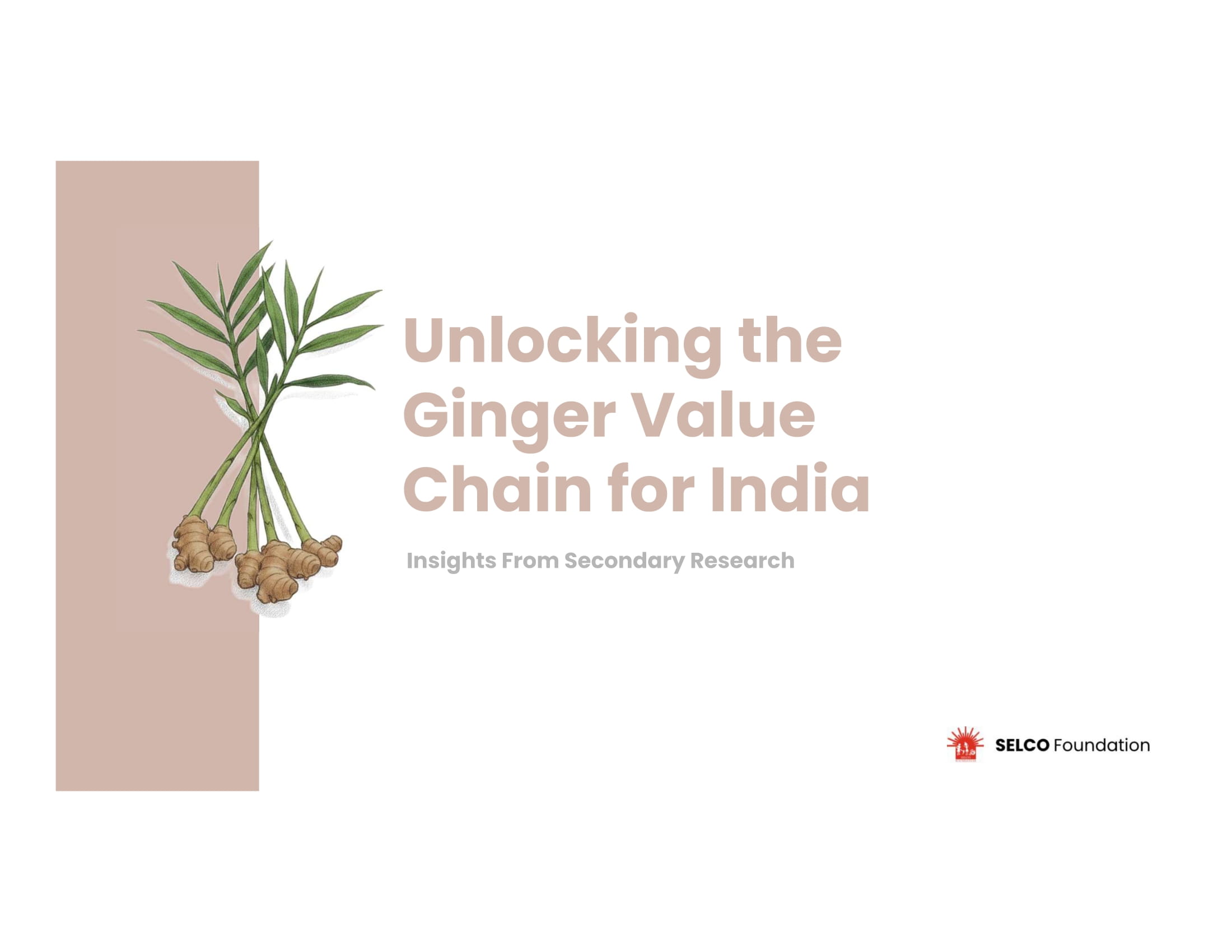 Unlocking the Ginger Value Chain for India