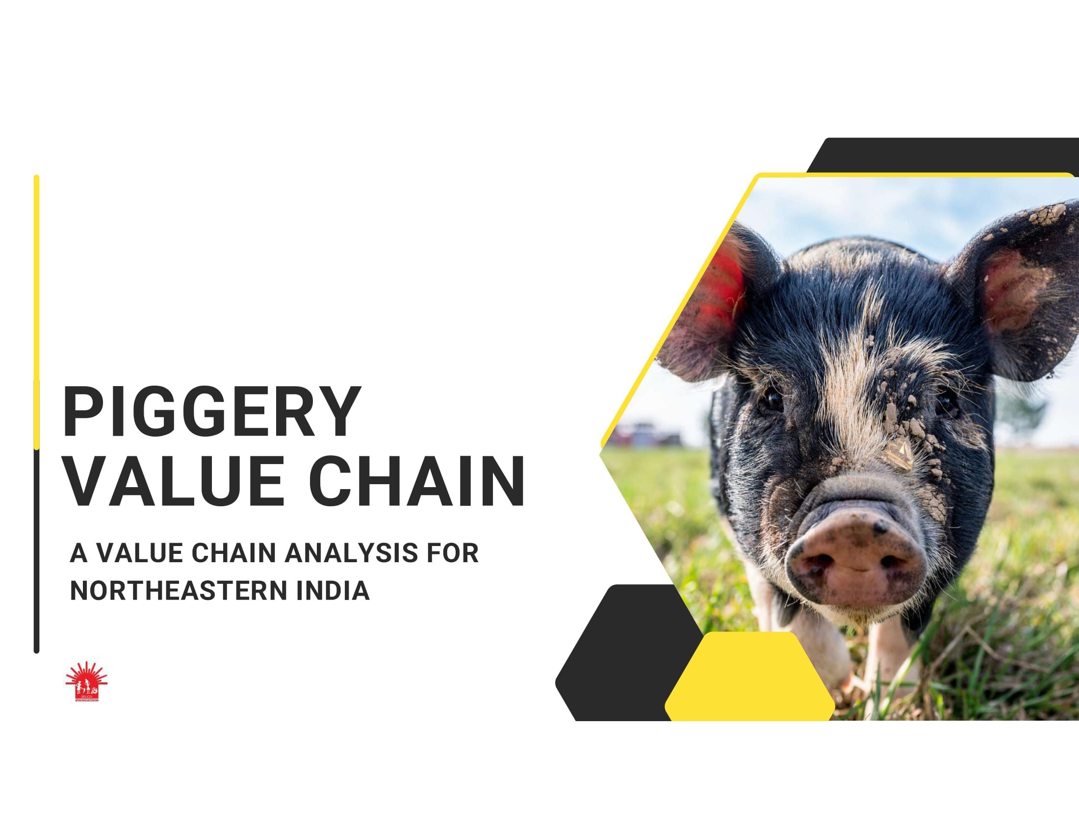 Piggery Value Chain
