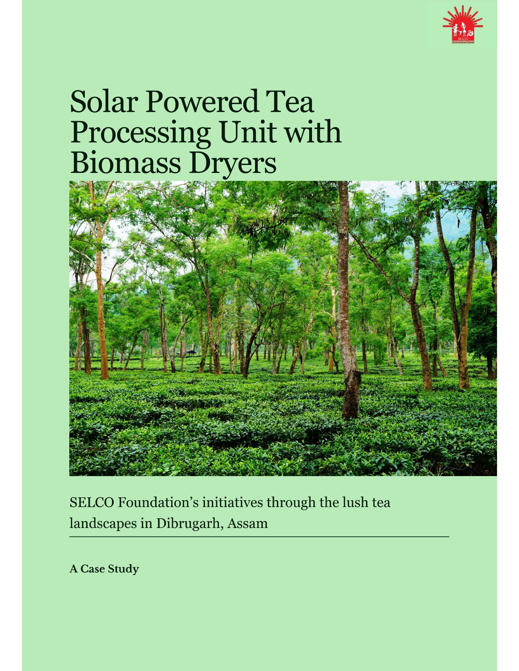 Solar Powered Tea Processing Unit with Biomass Dryers