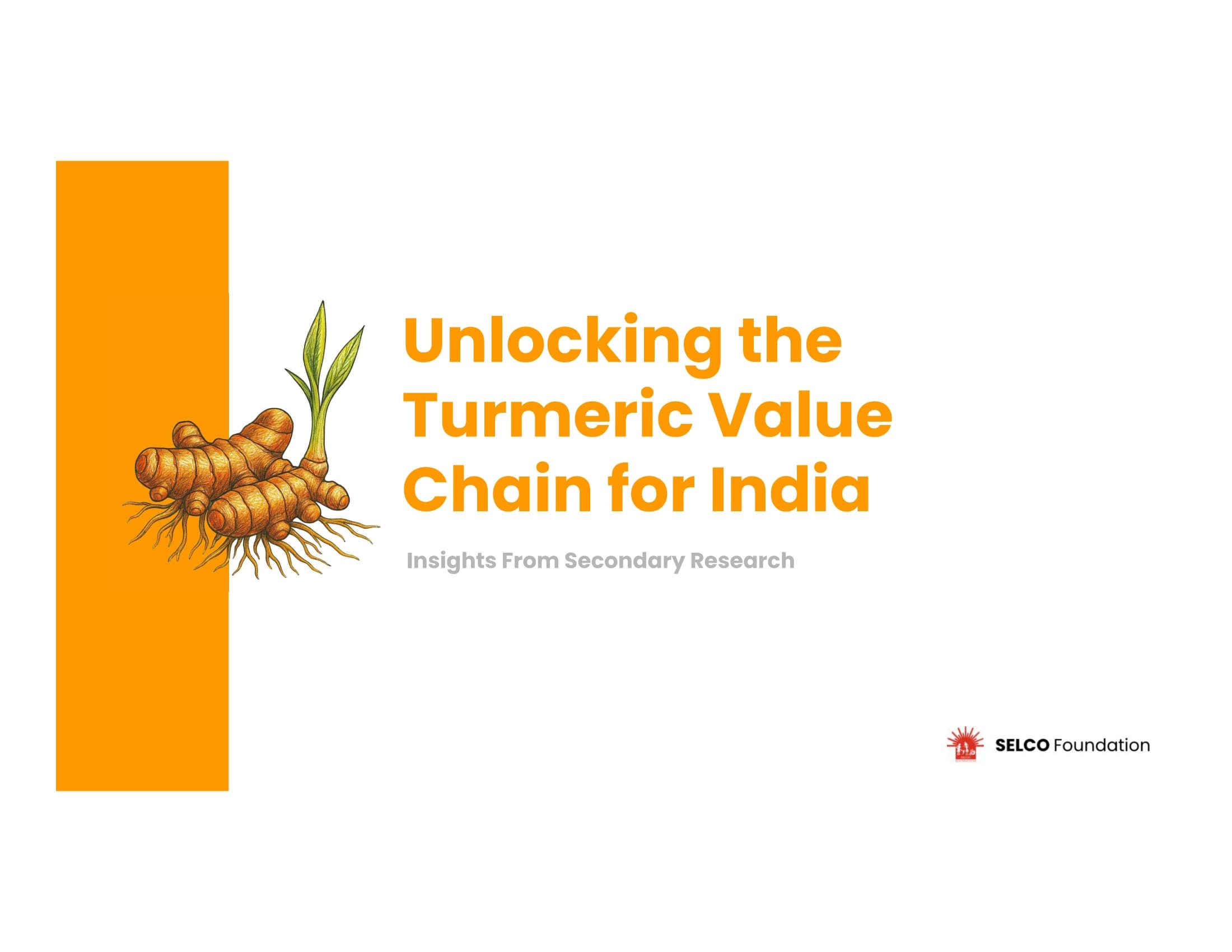 Unlocking the Turmeric Value Chain for India
