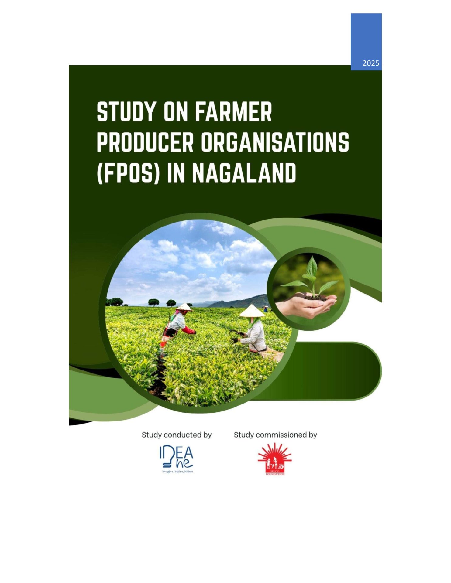 Study on farmer producer organisations in Nagaland