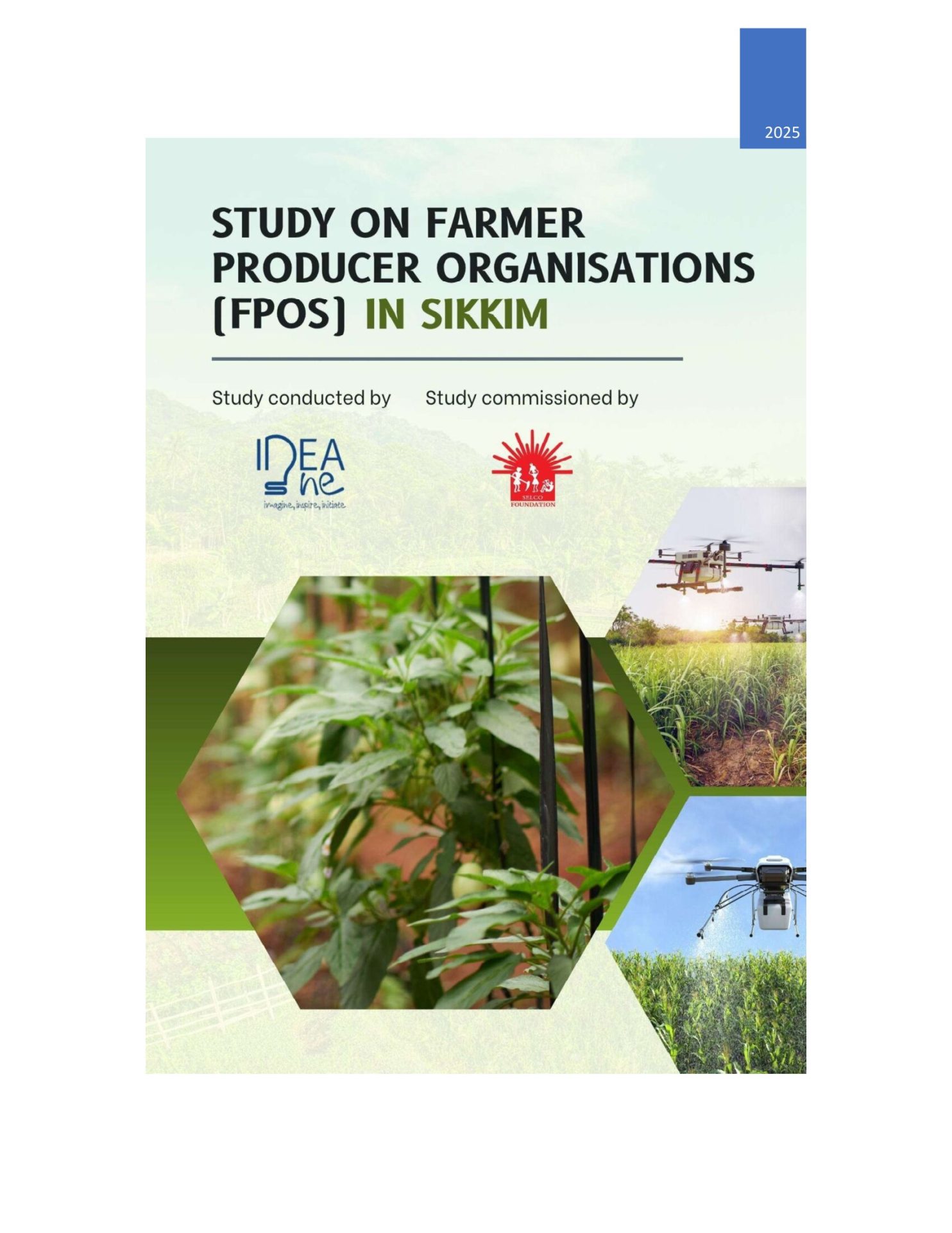 Study on farmer producer organisations in Sikkim